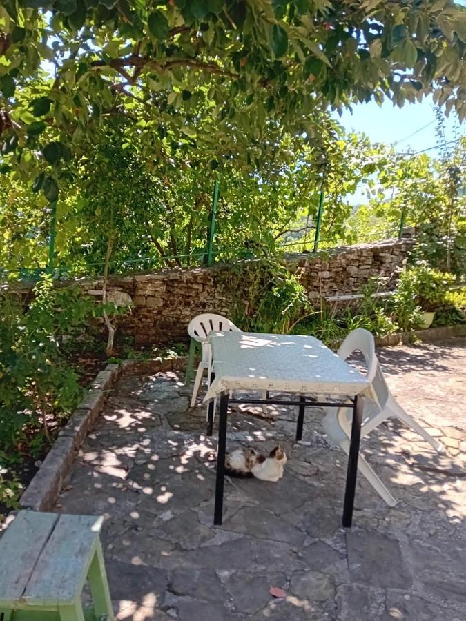 Stone Pazar Guest House Gjirokaster Exterior photo