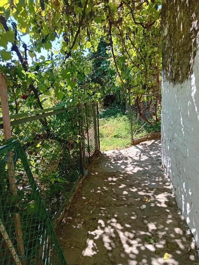Stone Pazar Guest House Gjirokaster Exterior photo